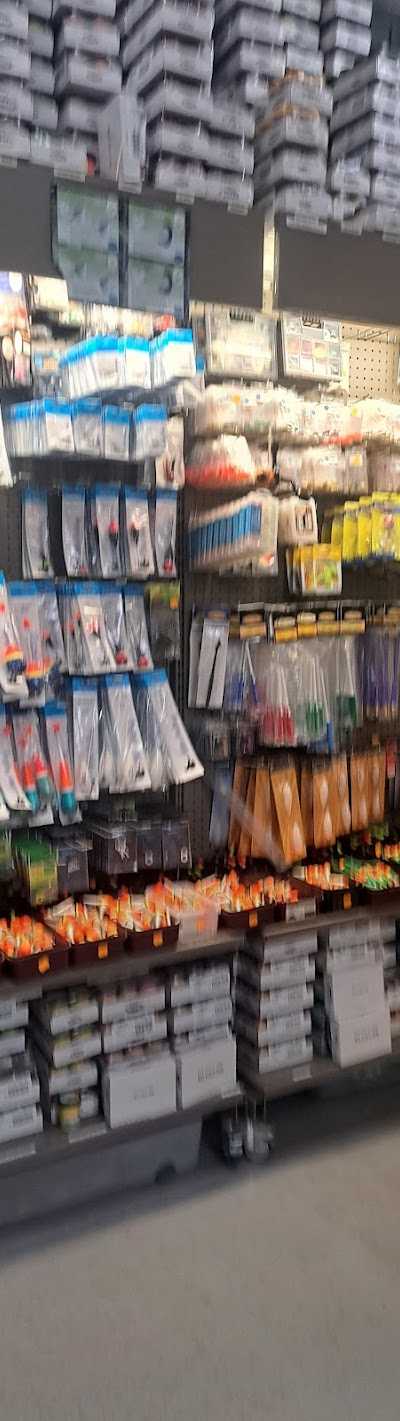 Robby Fish BV foto 3