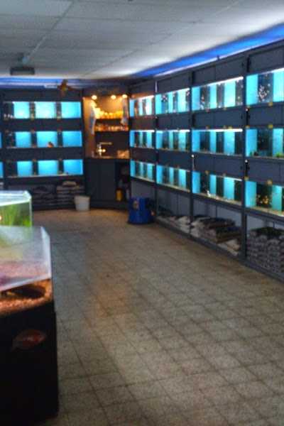 Dierenspeciaalzaak Matavi foto 2