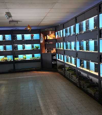 Dierenspeciaalzaak Matavi foto 4