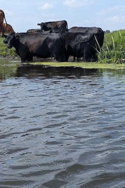 Expedition Outdoor - Kano/Boot verhuur - Hardenberg foto 4