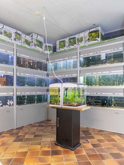 Discus A.P. van der Feer foto 2