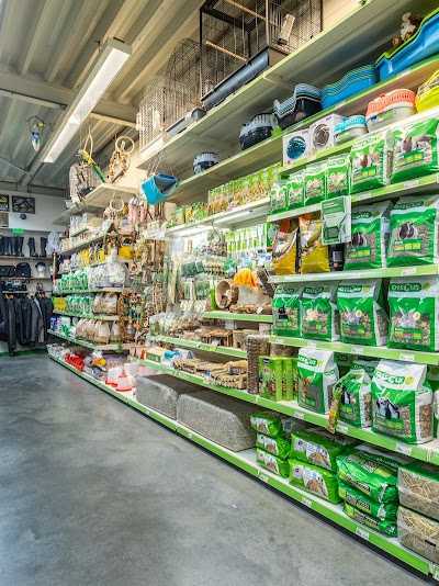 Discus A.P. van der Feer foto 3