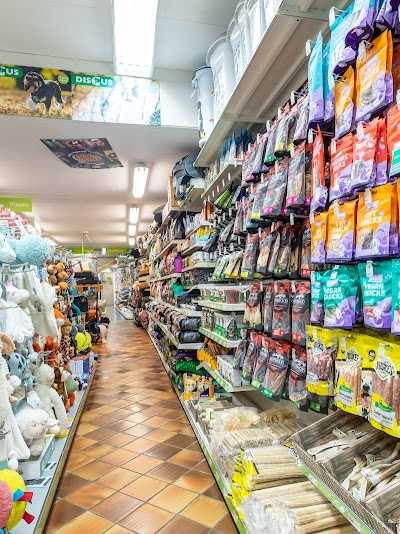 Discus A.P. van der Feer foto 5