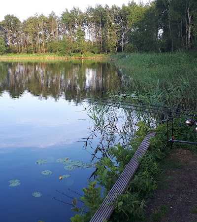 CarpFarm Lake foto 2