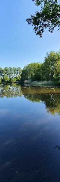 Hengel Sport Vereniging "De Voorn"