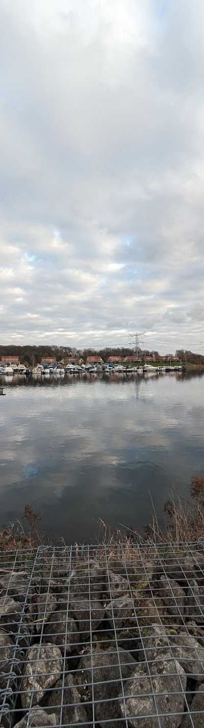 Bootverhuur Boschmolenplas foto 4