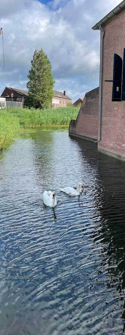 Bootje Gezond foto 4