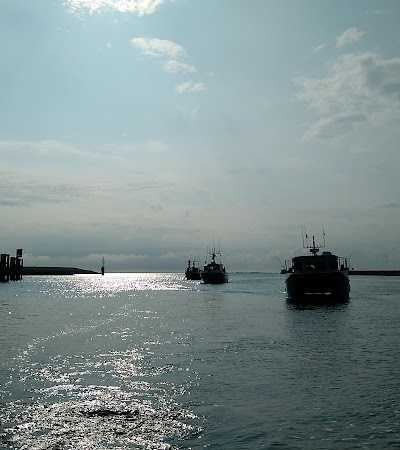 North Sea Charters foto 4