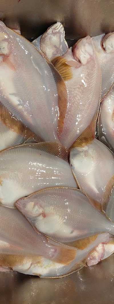 North Sea Charters foto 5