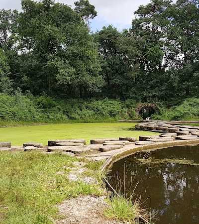 Landgoed Het Lankheet foto 2