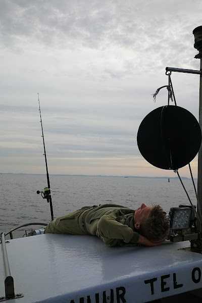 Bootverhuur en Zeeaas 't Zagertje foto 5