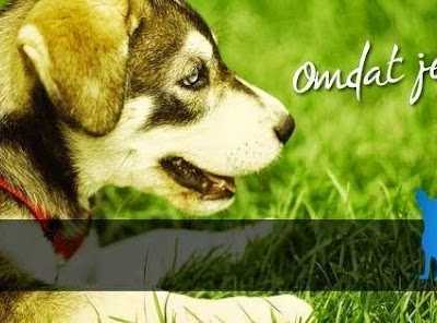 Patty's Petshop foto 2