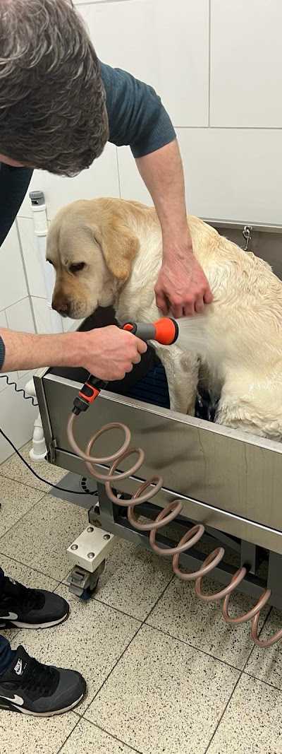 Patty's Petshop foto 4