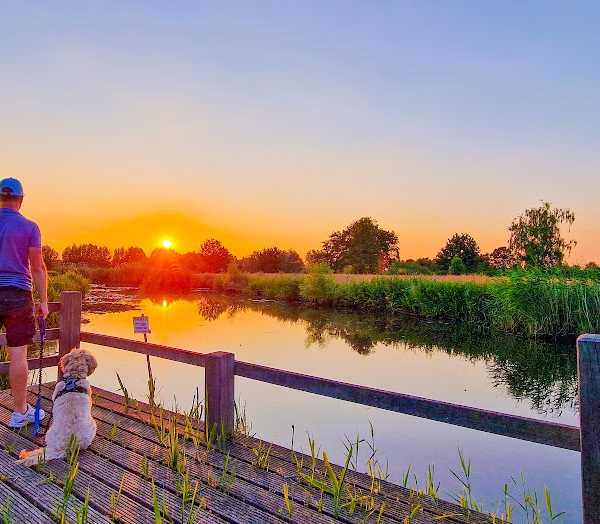 Boskantse Hengelsport Vereniging