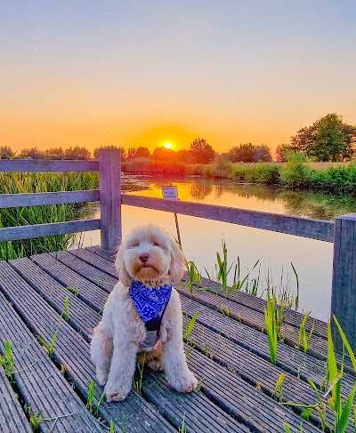 Boskantse Hengelsport Vereniging foto 2