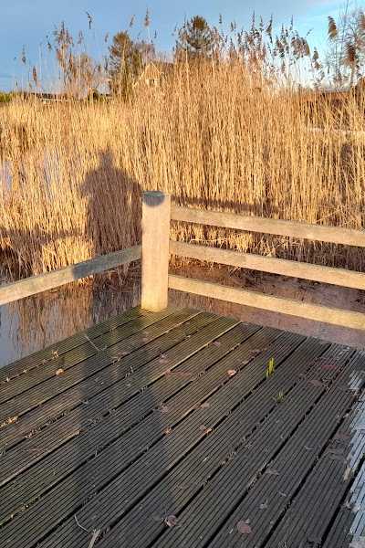 Boskantse Hengelsport Vereniging foto 3