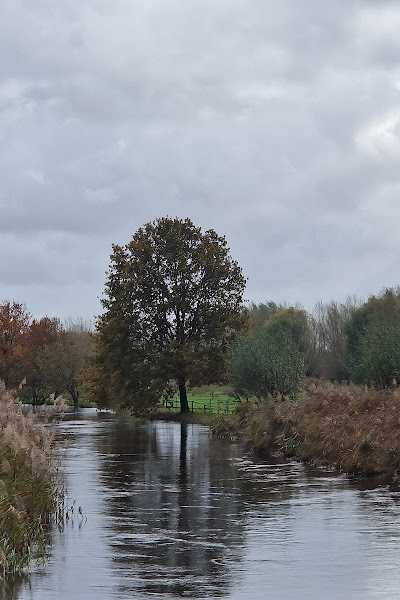 Boskantse Hengelsport Vereniging foto 4