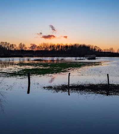 Boskantse Hengelsport Vereniging foto 5