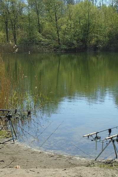 Roofvis XL (Webshop, geen winkel) foto 3