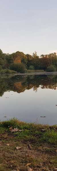 Philips Hengelsport Vereniging (P. Hs.V.)