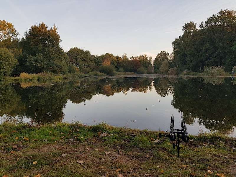 Philips Hengelsport Vereniging (P. Hs.V.)