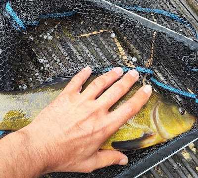 Philips Hengelsport Vereniging (P. Hs.V.) foto 4