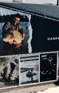 Carpworld.com
