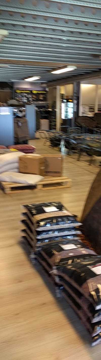 Carpworld.com foto 4