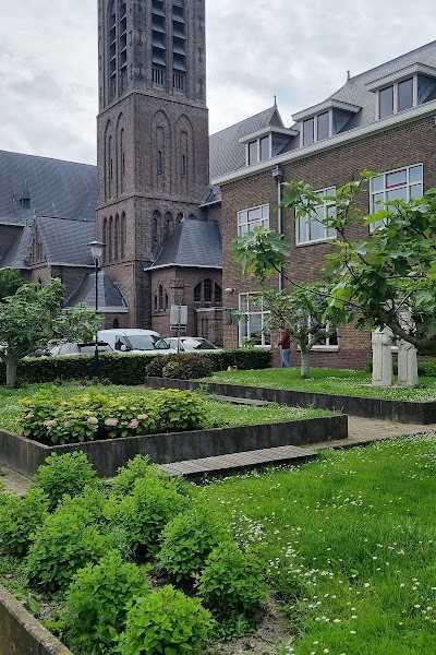 Bootverhuur Lutjebroek foto 5