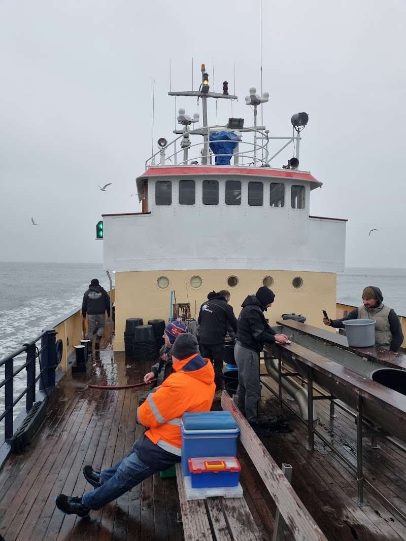 Sportvisserij Mercuur