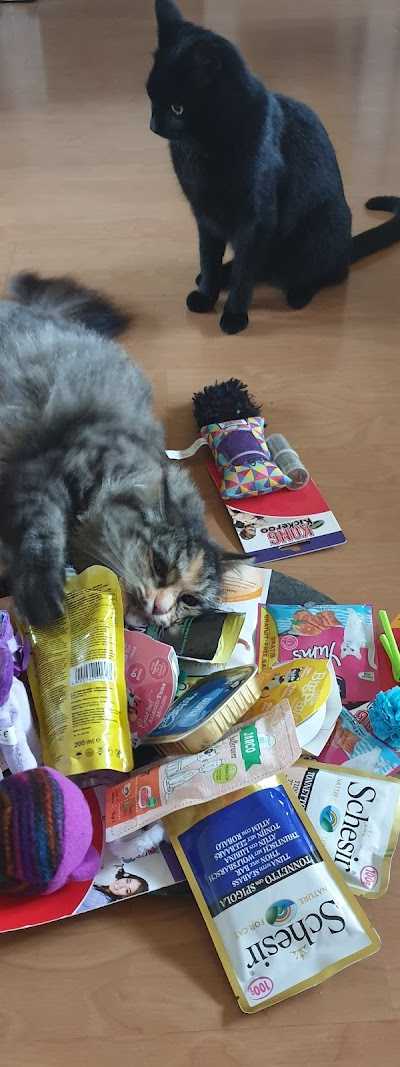 Dierenspeciaalzaak en Hengelsport De Borchmolen foto 4