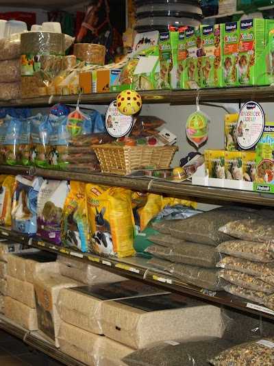 Dierenspeciaalzaak Rolfes foto 4