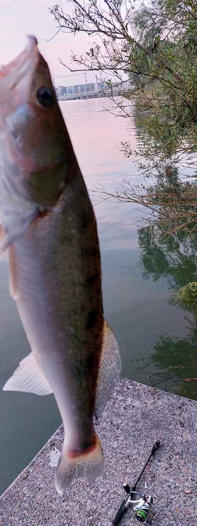 Hengelsport4you foto 5