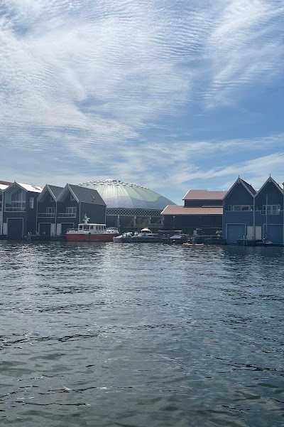 Forza Bootverhuur foto 4