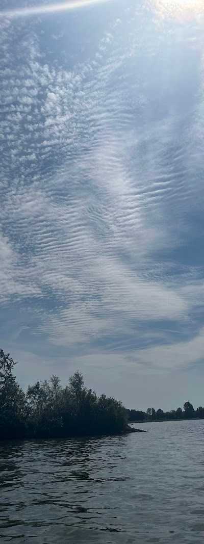 Forza Bootverhuur foto 5