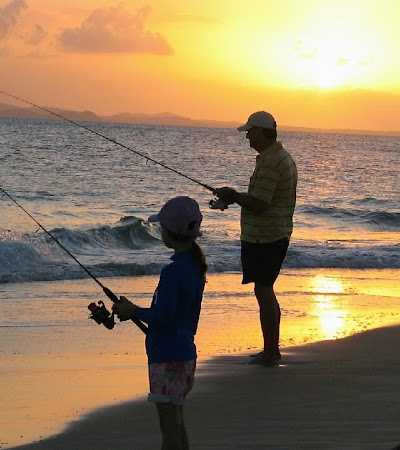 zagers-zeepieren.nl foto 2