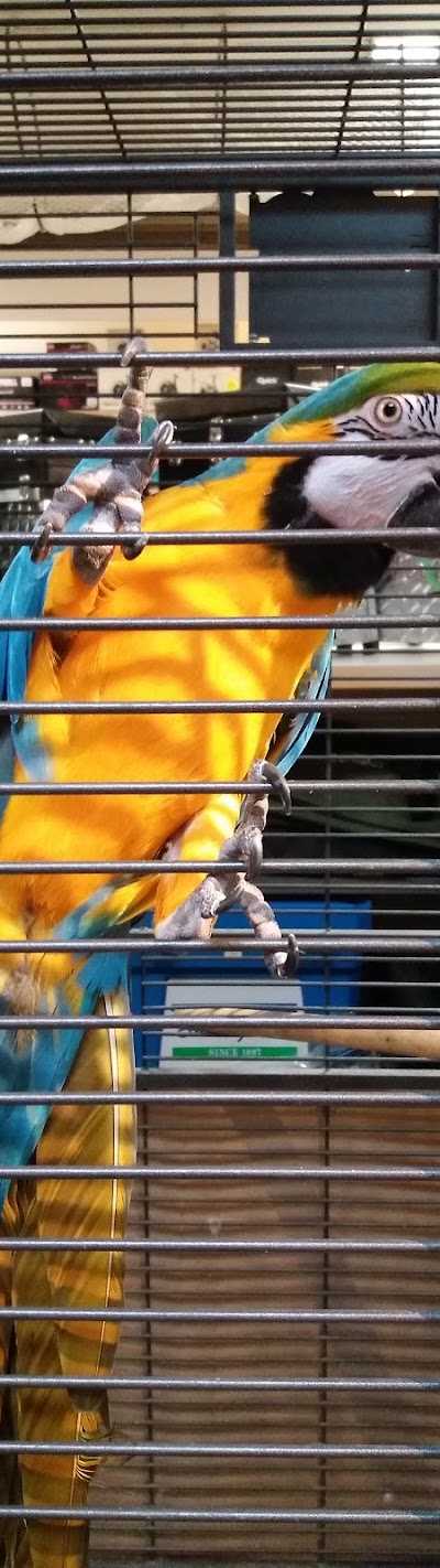 Dier&Hengelsport Axel foto 4