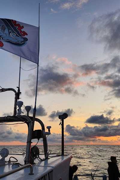 Sportvisserij De Zeearend foto 5