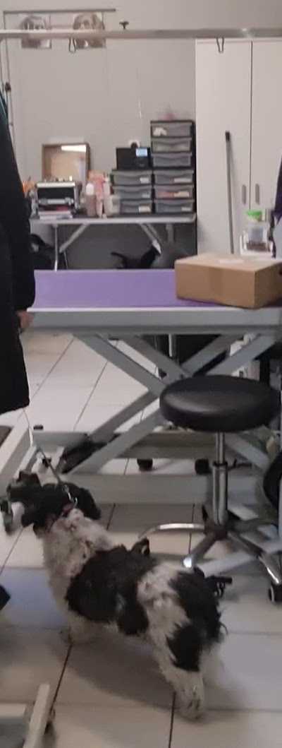 Dierenspeciaalzaak Dijksterhuis foto 2