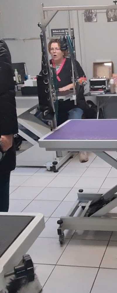 Dierenspeciaalzaak Dijksterhuis foto 3