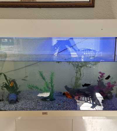 Naturelhengelsport foto 3