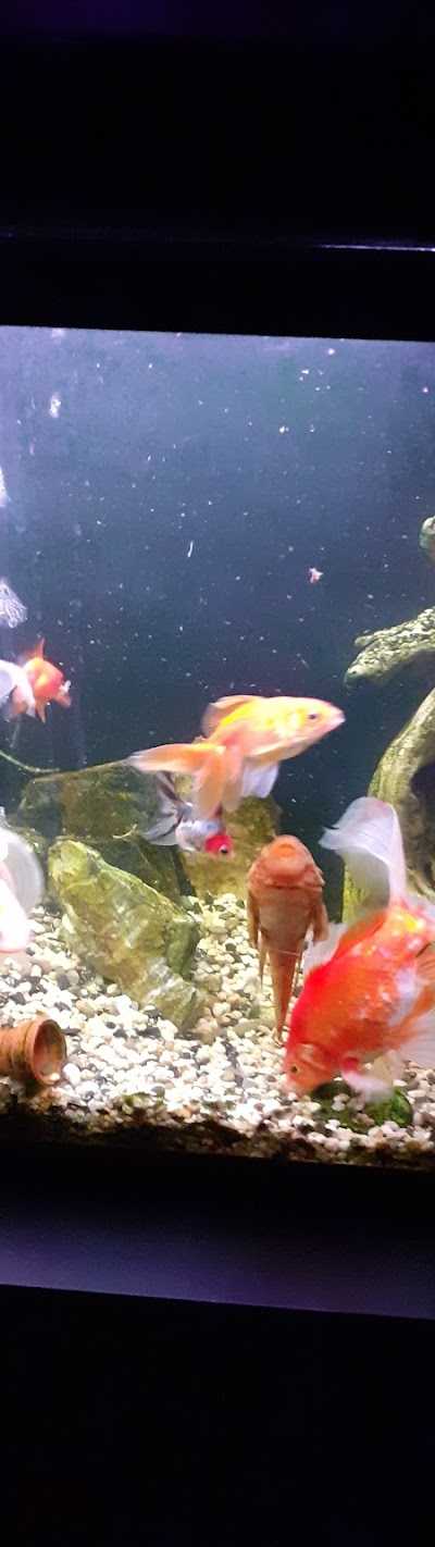 Naturelhengelsport foto 5