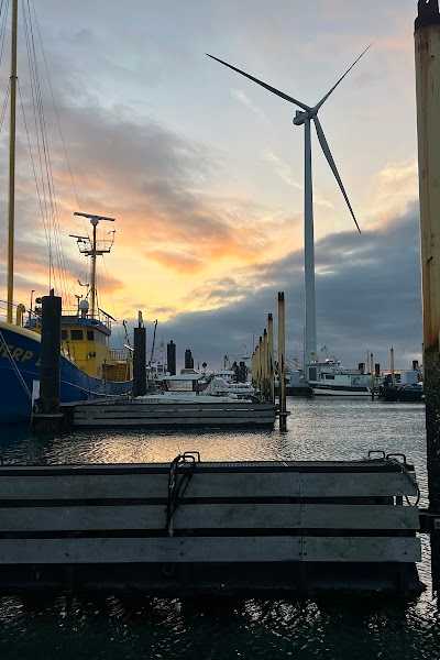 North Sea Adventures foto 3