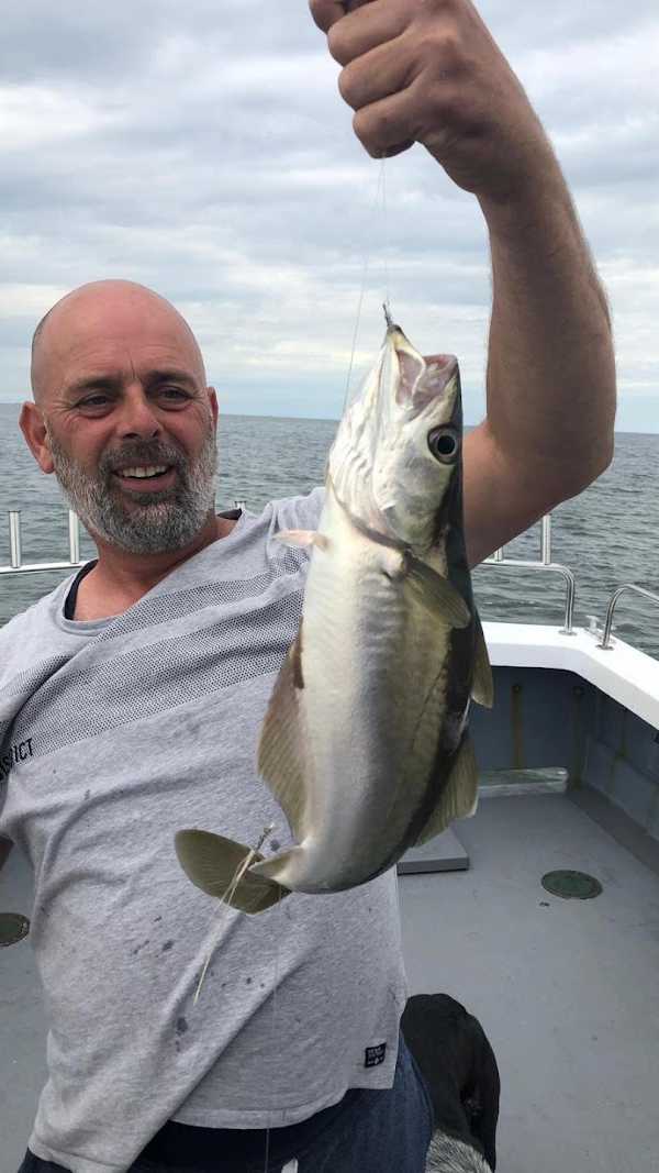 IJmuiden Zeevissen Infinity