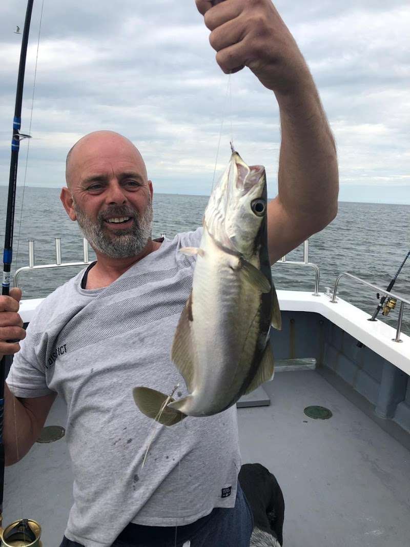 IJmuiden Zeevissen Infinity