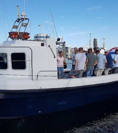 IJmuiden Zeevissen Infinity foto 2