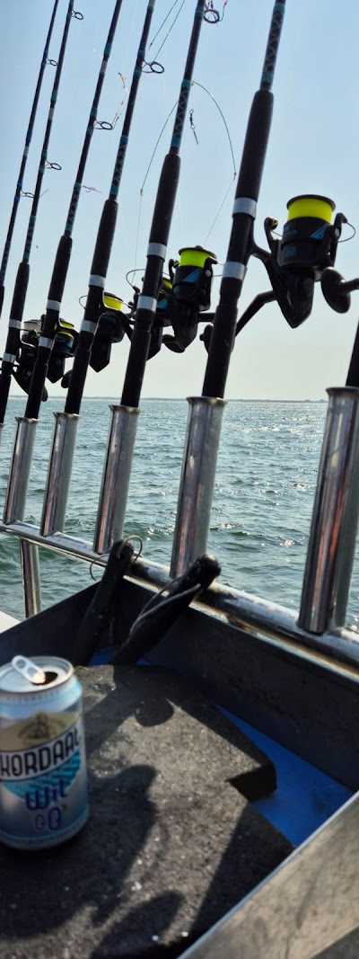 IJmuiden Zeevissen Infinity foto 3