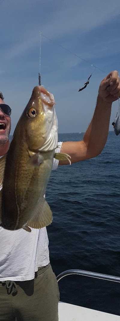 IJmuiden Zeevissen Infinity foto 5