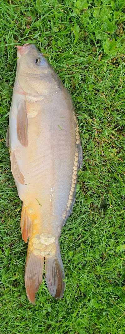 Hengelsport Eria foto 2