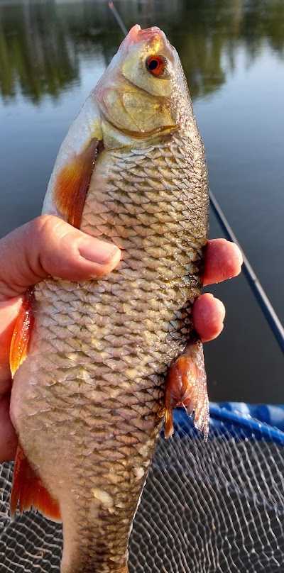 VBR Baits Hengelsport foto 3